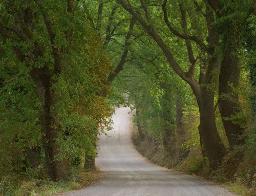 Our Journey… walking home… Heaven Bound