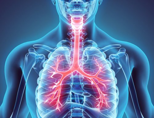 Life is in the Blood