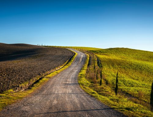 The Way