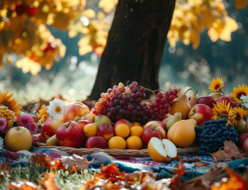 Harvest Thanksgiving